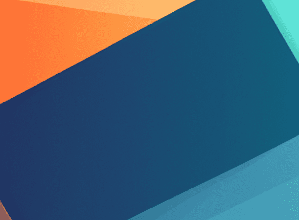 What the World Loses When Animals Disappear